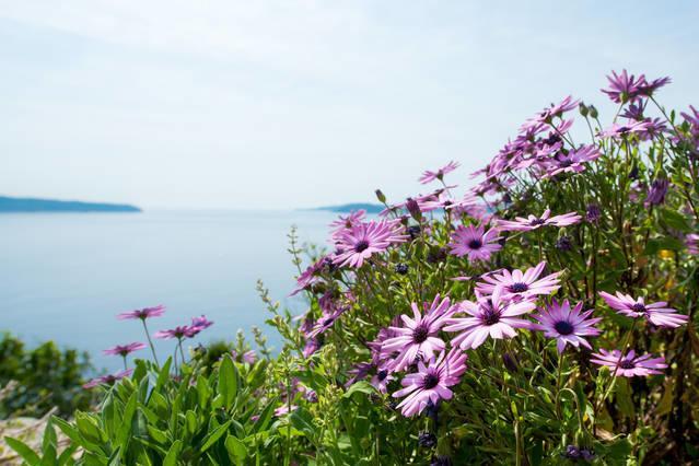 Holiday Home Trsteno Dış mekan fotoğraf